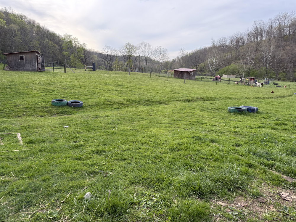 Five B Farm Boarding, photo 2