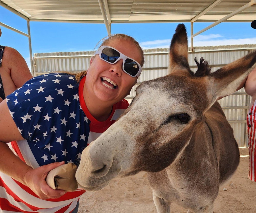 Donkeys of Pahrump Private Tour, photo 8