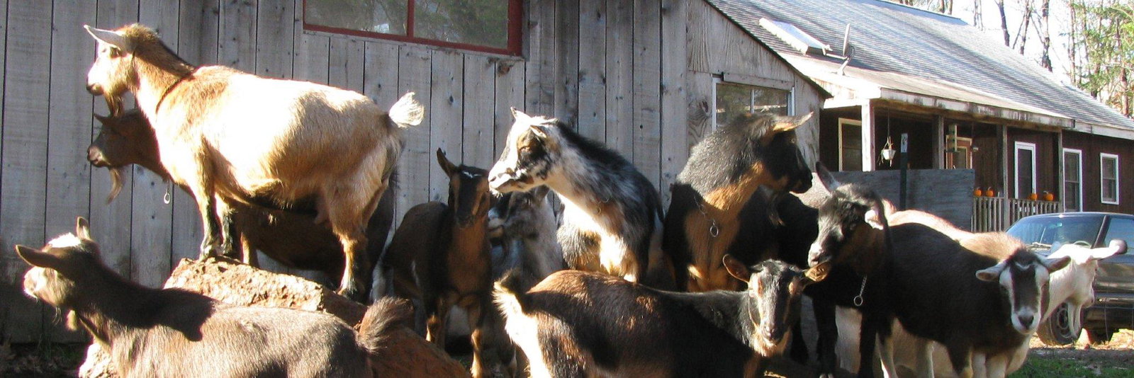 Hames & Axle Farm profile cover image