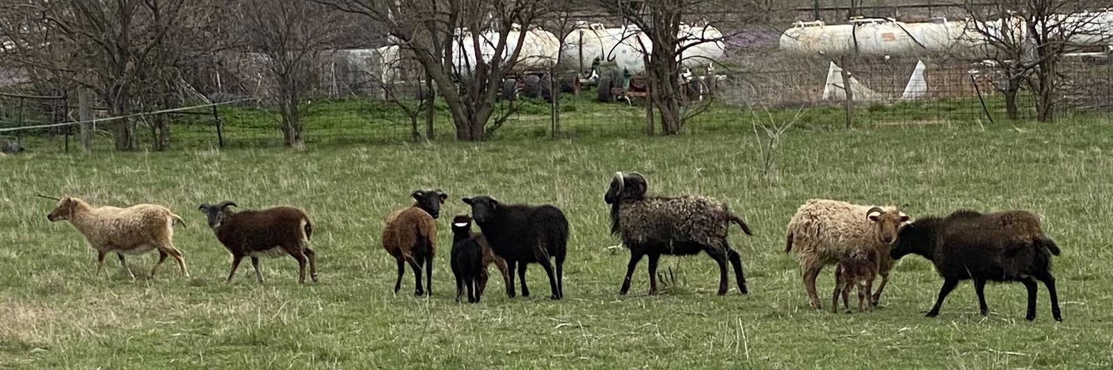 Kristen Aultman profile cover image