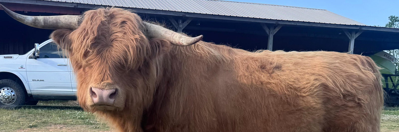 London profile cover image