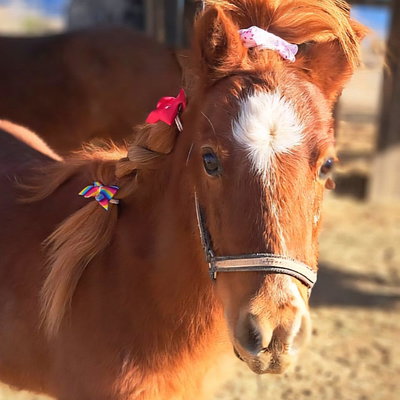 Faith profile picture