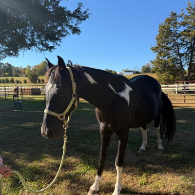 Gregory Farms profile picture