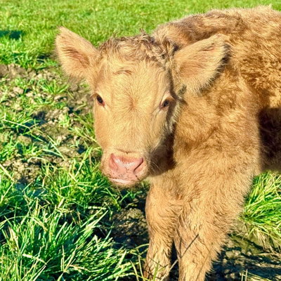 Mable's baby profile picture