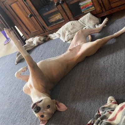 Benny profile picture