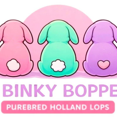 CT Binky Boppers profile picture