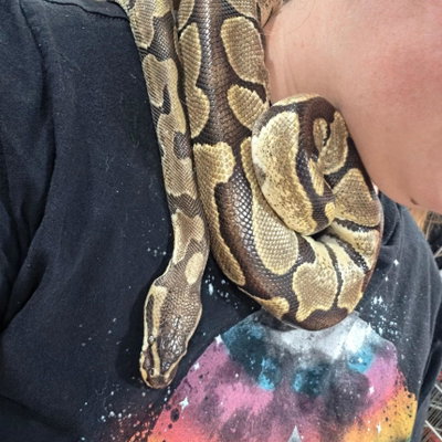 Larry profile picture