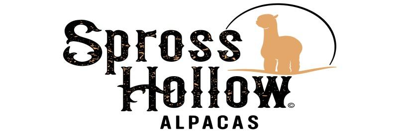 Spross Hollow Alpacas profile cover image