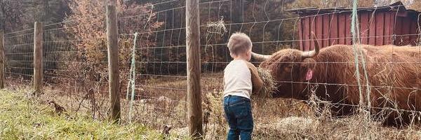 Hillside Highlands profile cover image