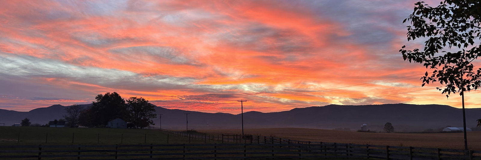 Brendan Myers profile cover image