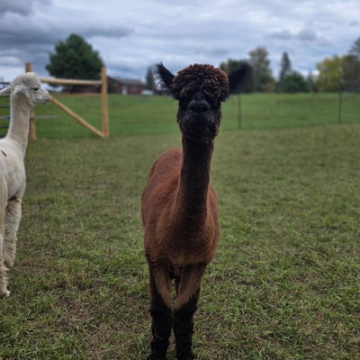 Faith profile picture