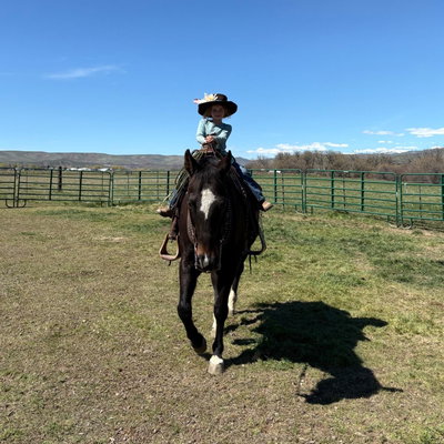 Rocky profile picture