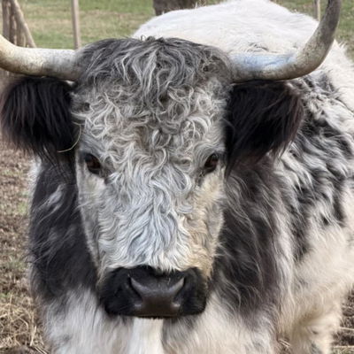 Candy profile picture