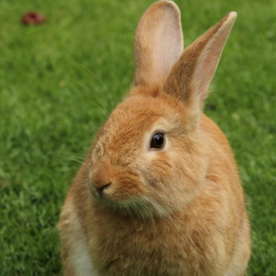 Robbie profile picture