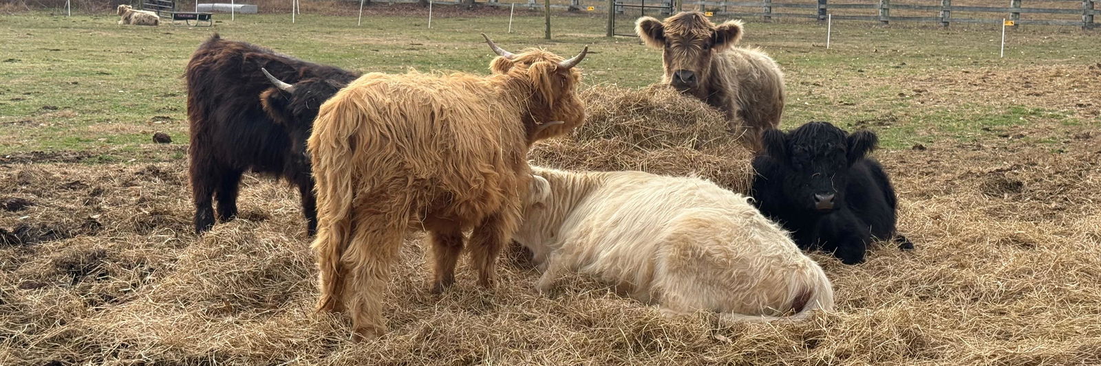 FAFO Farms profile cover image