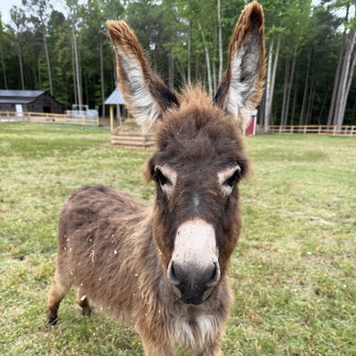 Gretchen profile picture