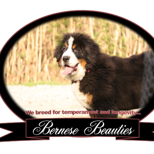 Rosemary Detweiler profile picture