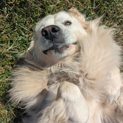 Belle profile picture