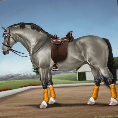 Ironclad Tempest profile picture