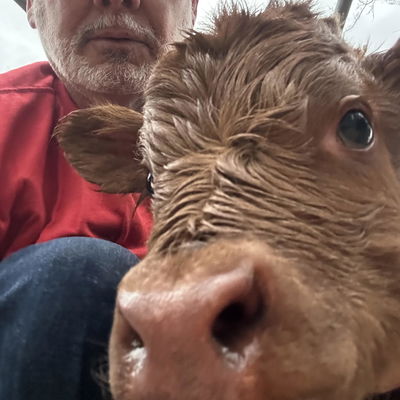 Idabel profile picture