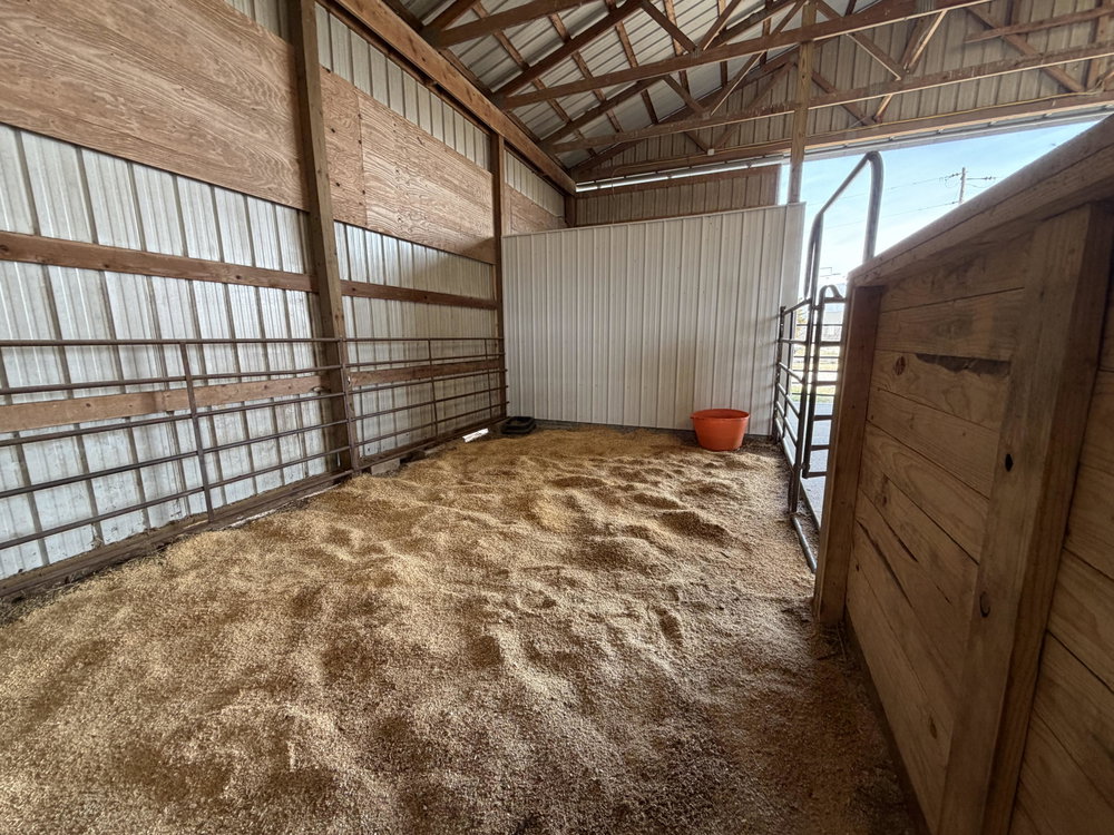 Premium Cattle/Calf Boarding, photo 8