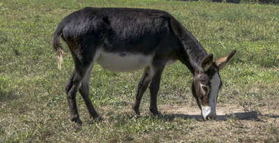 Cabinwood’s Bernadette profile picture