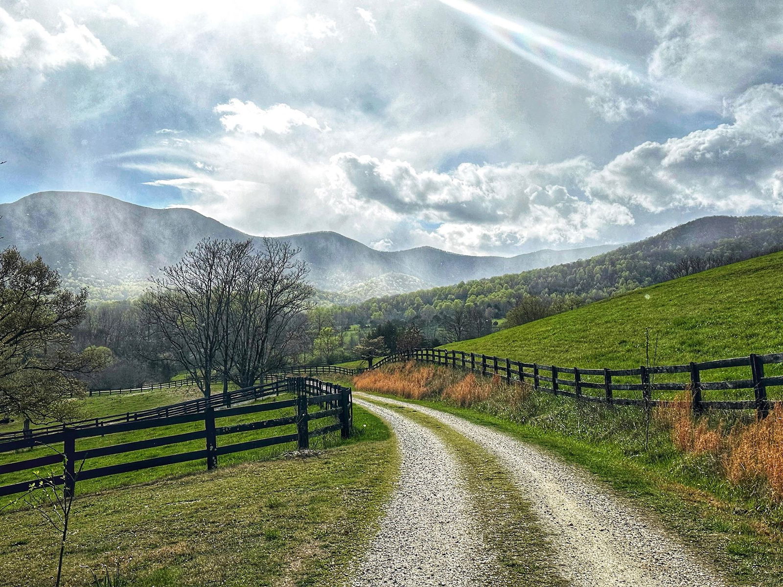 Virginia Pasture Cattle Boarding