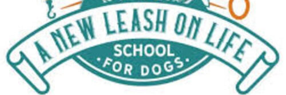 A New Leash on Life - School for Dogs profile cover image
