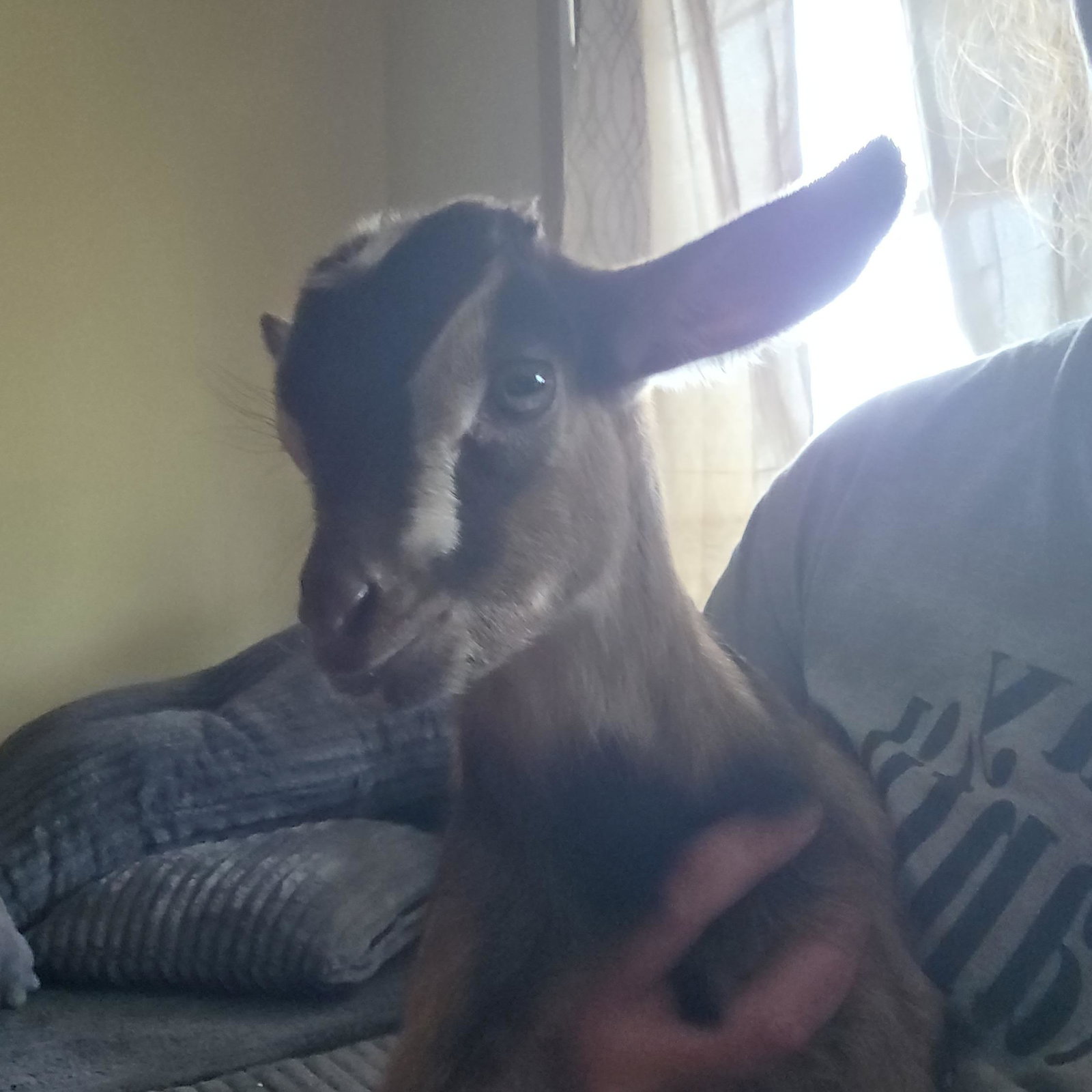 Billy