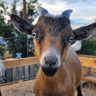 Jackie Charles profile picture