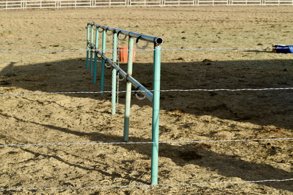 Colorado Cattle Boarding, photo 5