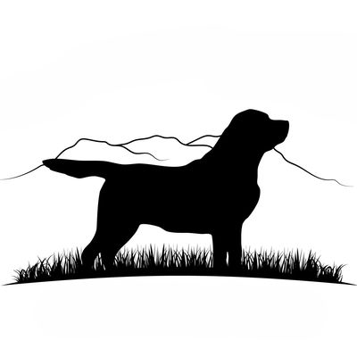 Sweet Valley Acres profile picture