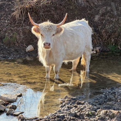 Ruth profile picture