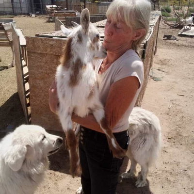 Anjou WesCo Farms profile picture