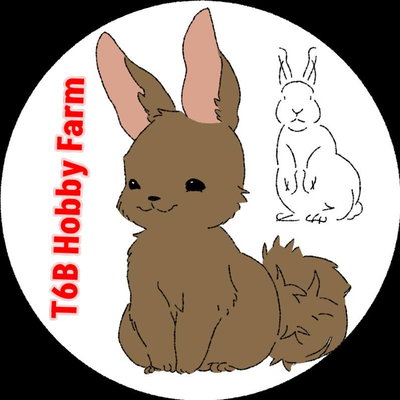 T6B Hobby Farm profile picture