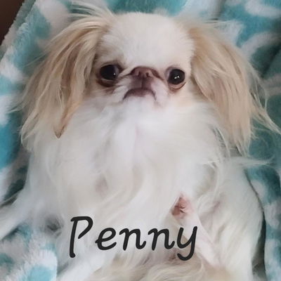 Texas Walker's Chin profile picture