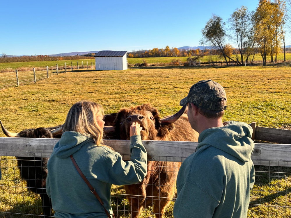 Highland Farm Tour, photo 4
