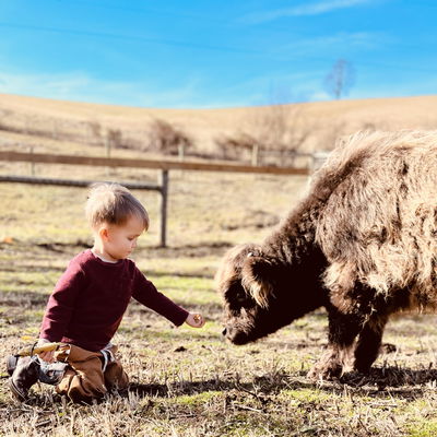 Hillside Highlands profile picture