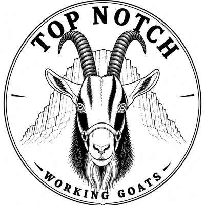 Top Notch Working Goats profile picture