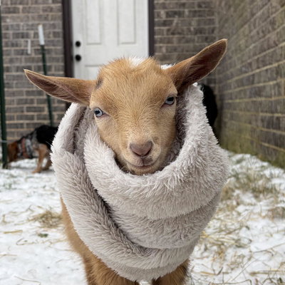 Tracy Kelly profile picture