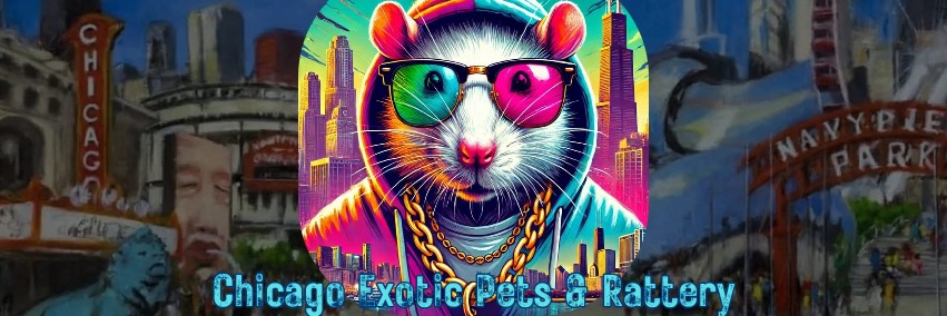 Chicago Exotic Pets & Rattery profile cover image