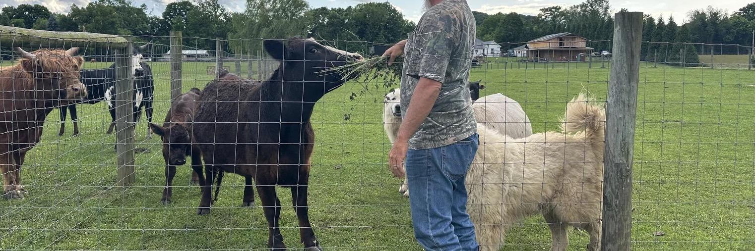 RBR Annabelle profile cover image