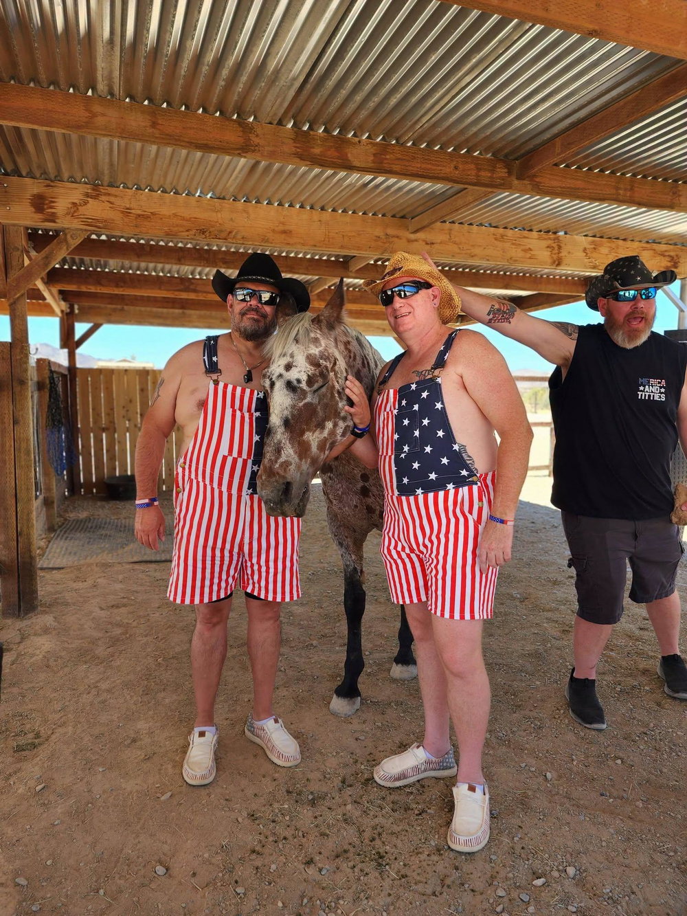 Donkeys of Pahrump Private Tour, photo 7