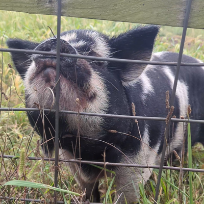 Maryweather profile picture