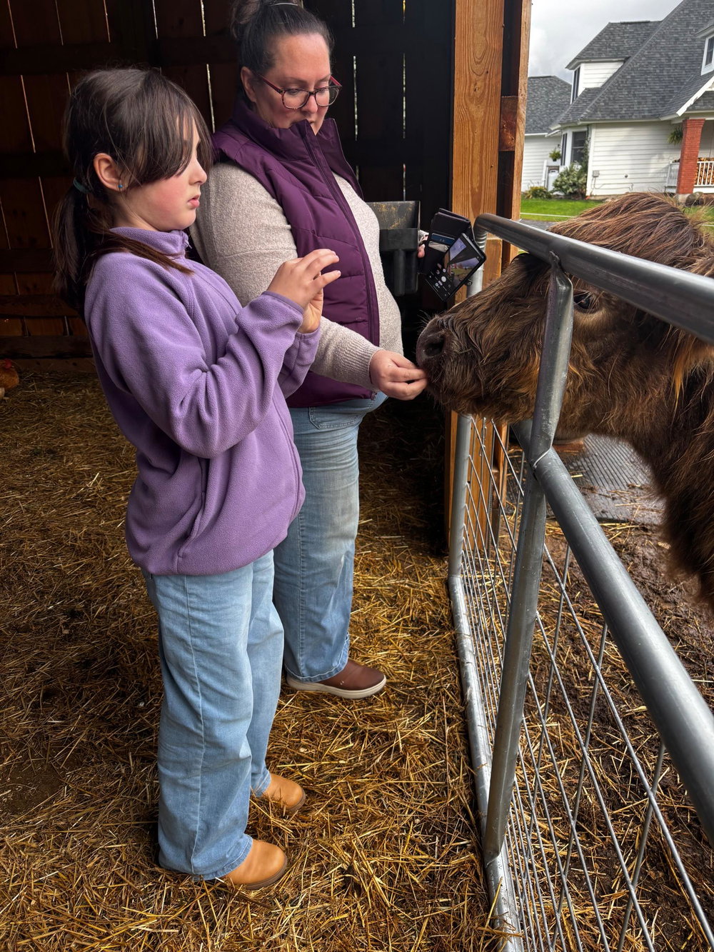 Highland Farm Tour, photo 8