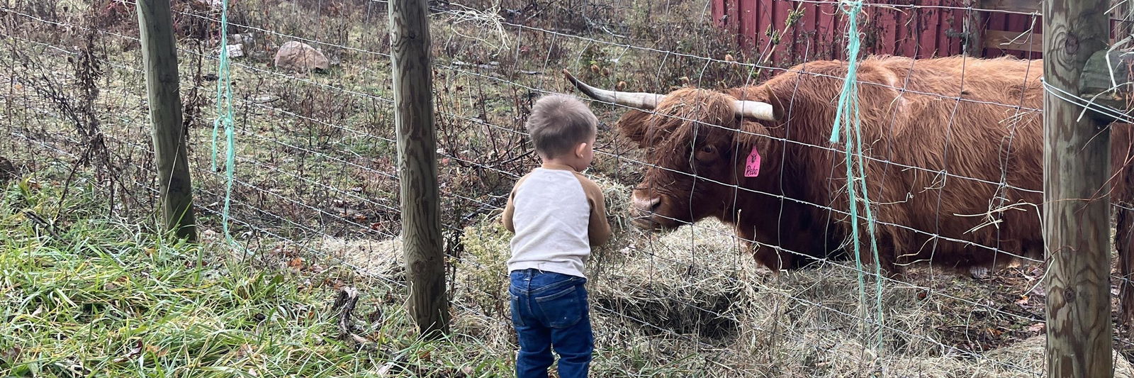 Kimberly Olinger profile cover image