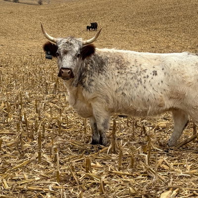 Stormi profile picture