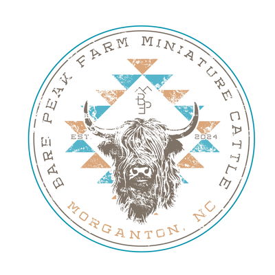 Chelsey Adams profile picture