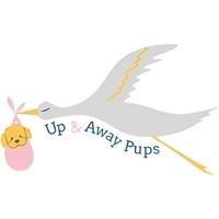 Up & Away Pups profile picture