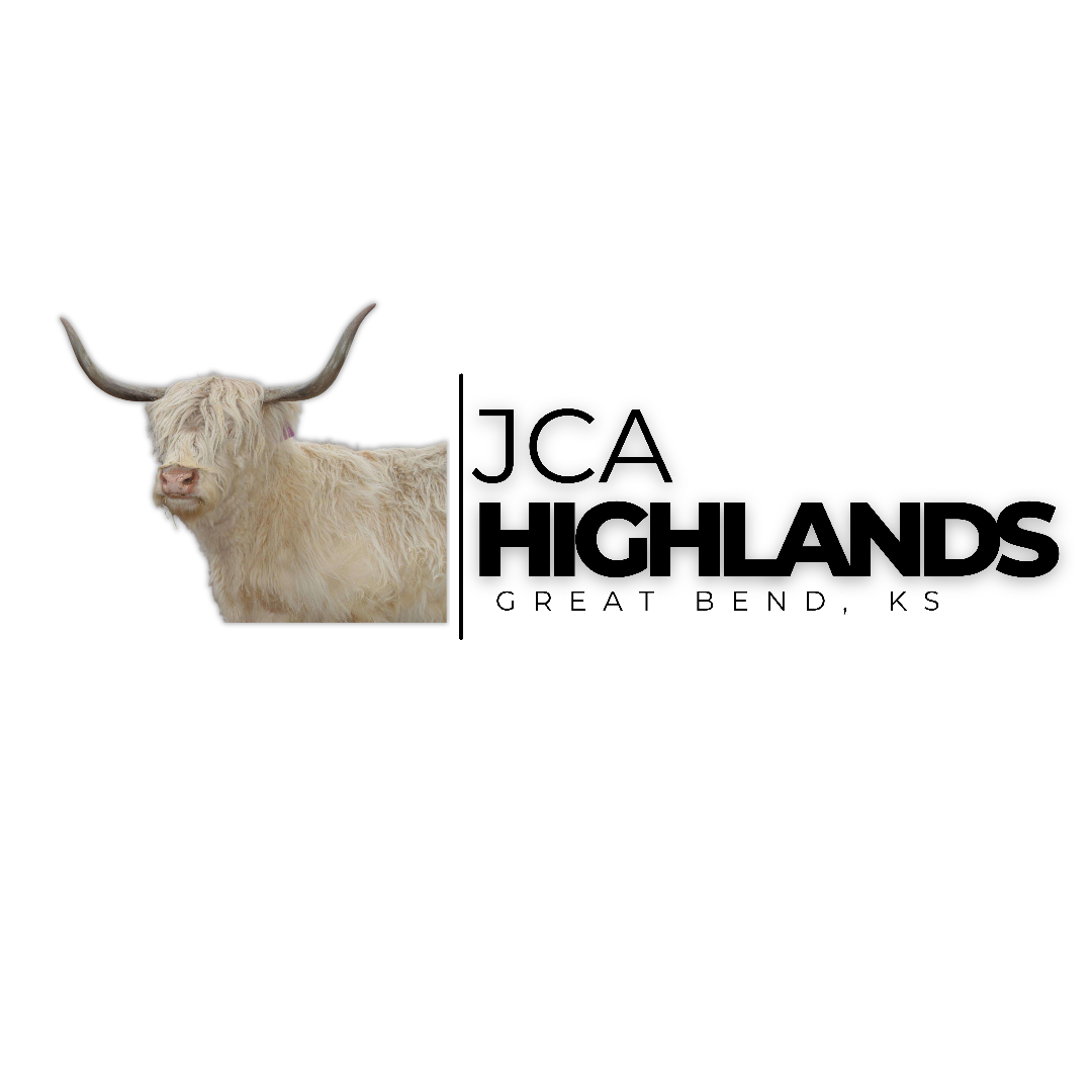 JCA Highlands profile picture